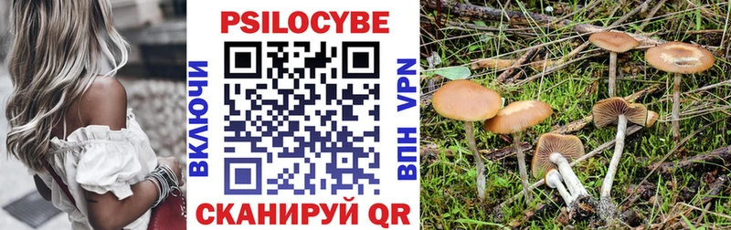 Галлюциногенные грибы прущие грибы  Купить  Оха 